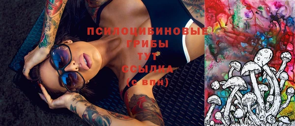меф Белокуриха