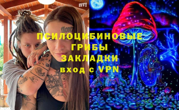 меф Белокуриха