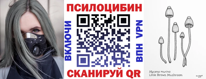 купить  сайты  omg онион  Галлюциногенные грибы мицелий  Афипский 